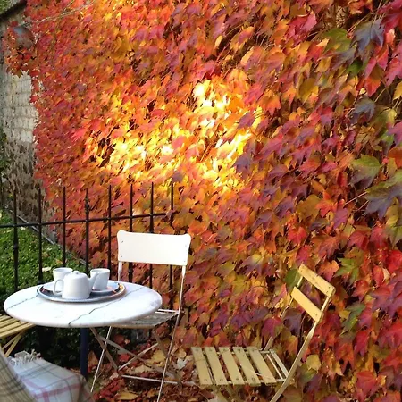 La Demeure Des Sacres - Cathedrale Bed & Breakfast 3*